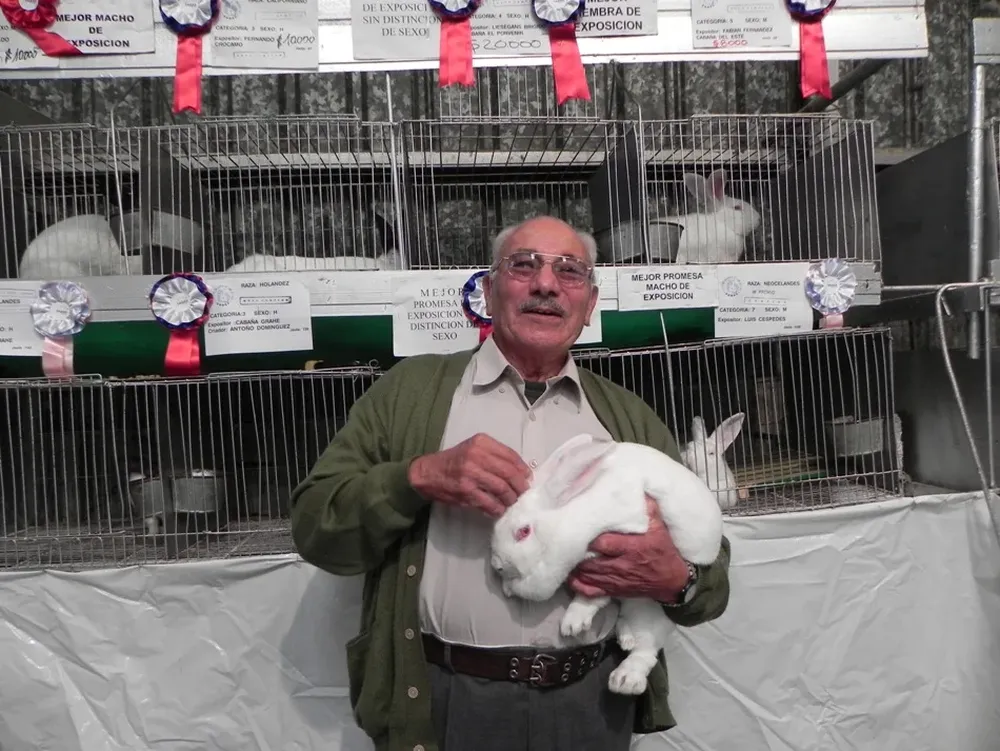 Brígido Liesegang exhibe al mejor conejo de 2013