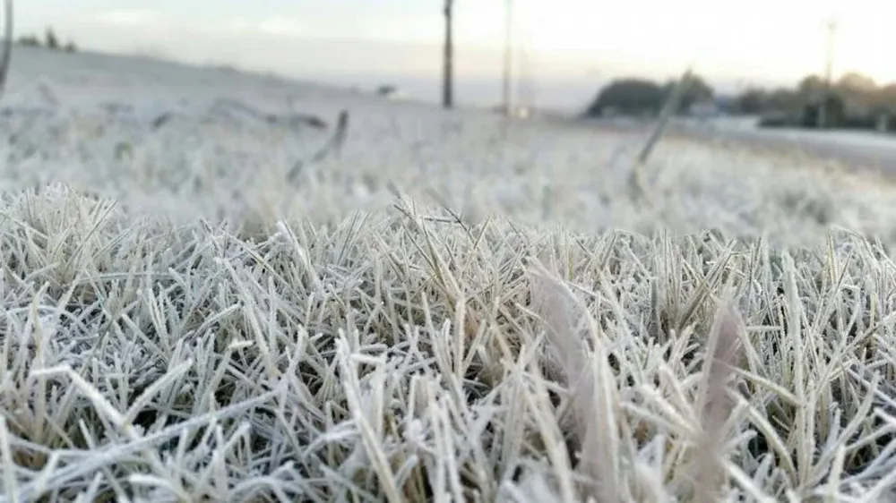 Foto de archivo. La ola polar se extenderá hasta el sábado en Uruguay
