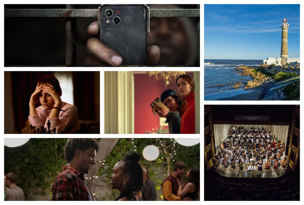 Los recomendados de Picnic de esta semana