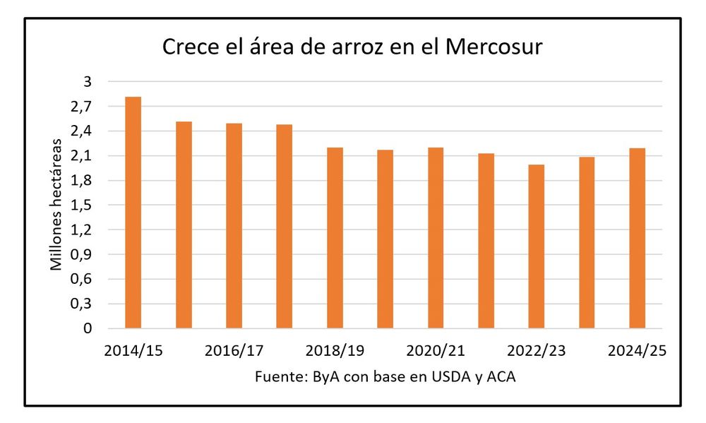 Agricultura, sector arrocero.