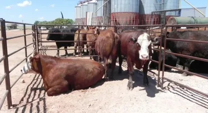 Ambiente enrarecido en Nacional vs Villa Española