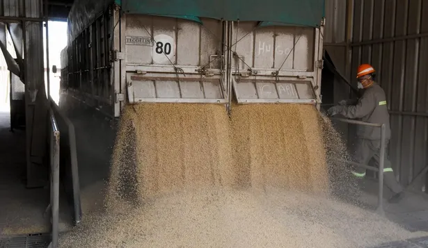 Holding árabe compra el 45% de uno de los mayores exportadores de granos de Uruguay