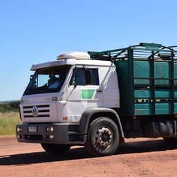 Agroindustria ganadera: transporte de haciendas.