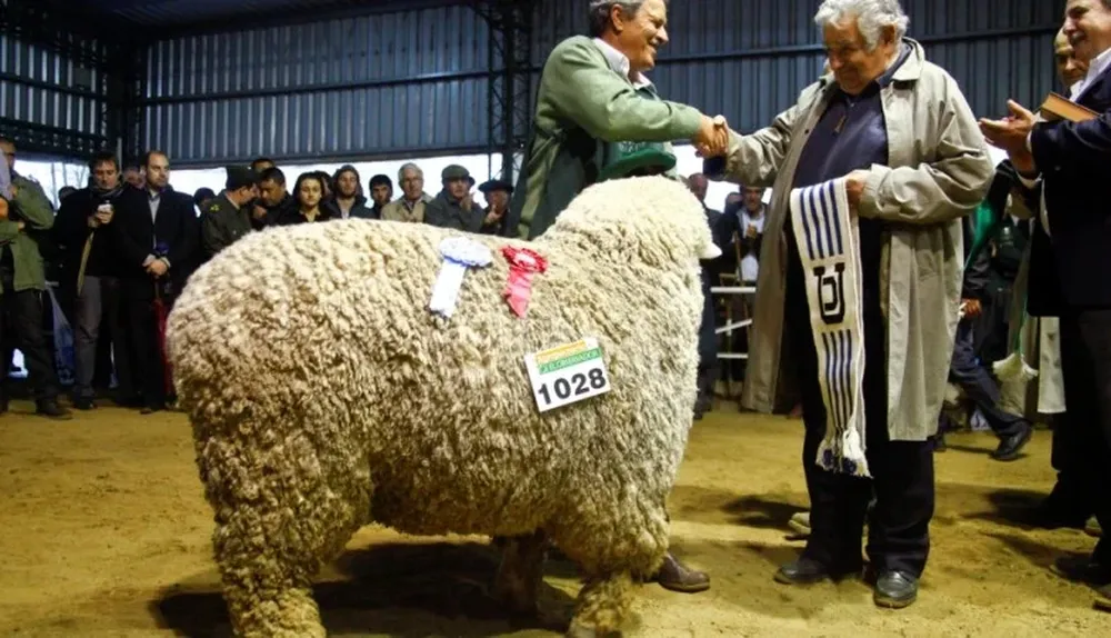 El presidente Mujica coronó al Gran Campeón PI de Corriedale