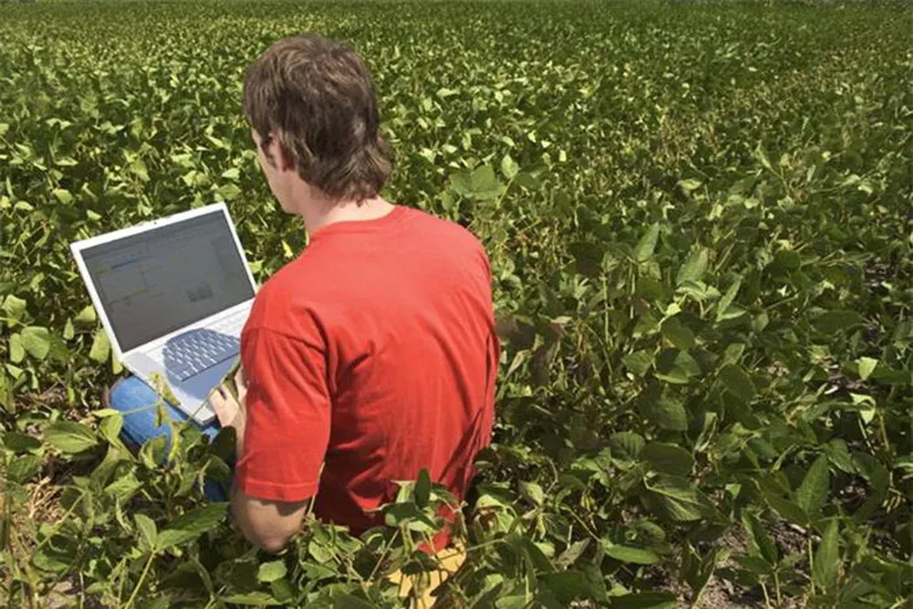 El software es clave para que la industria se desarrolle
