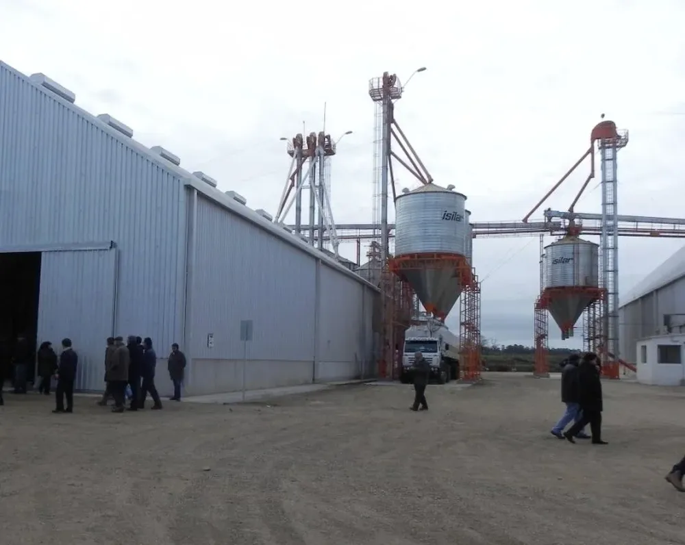 Tamberos podrán encarar reservas forrajeras con la asistencia financiera de Prolesa