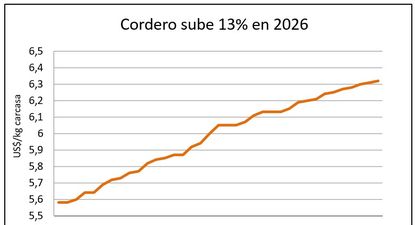 Rubro ovino: nuevos indicadores.