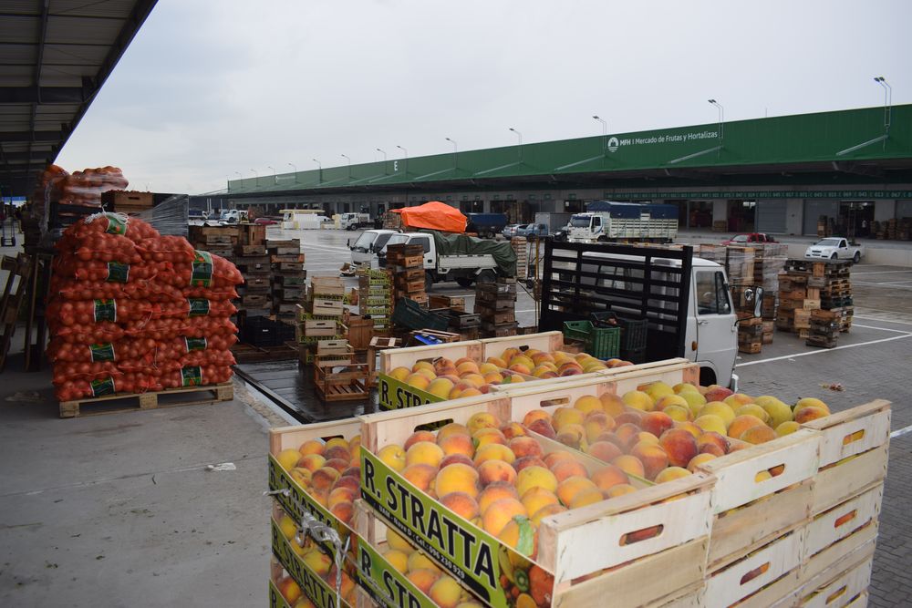 Unidad Agroalimentaria Metropolitana (UAM).
