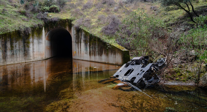 El Observador | image