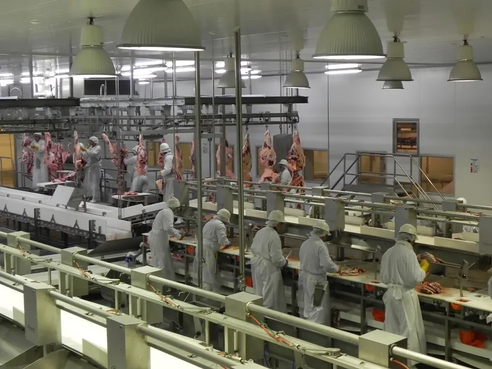 Uruguay sigue colocando en diversos mercados