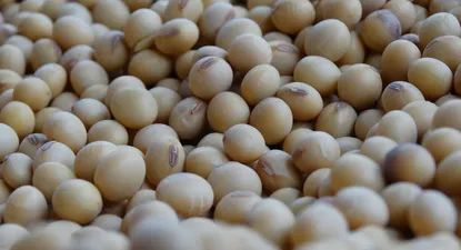 El Observador | 1602119574206.webp