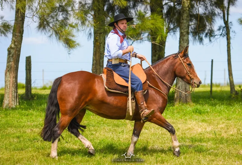 La venta se hará este sábado 20 de noviembre en Melo.