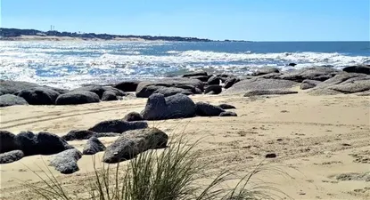 Rematan terrenos en La Paloma, Punta del Diablo y otros balnearios en cuotas desde US$ 120