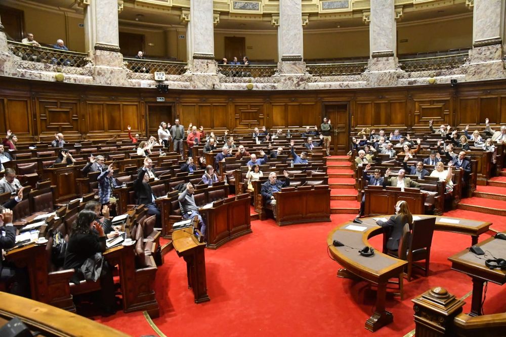 20240524 diputados; cámara de diputados