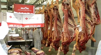Marfrig se deshace de curtiembre y no descarta vender frigoríficos