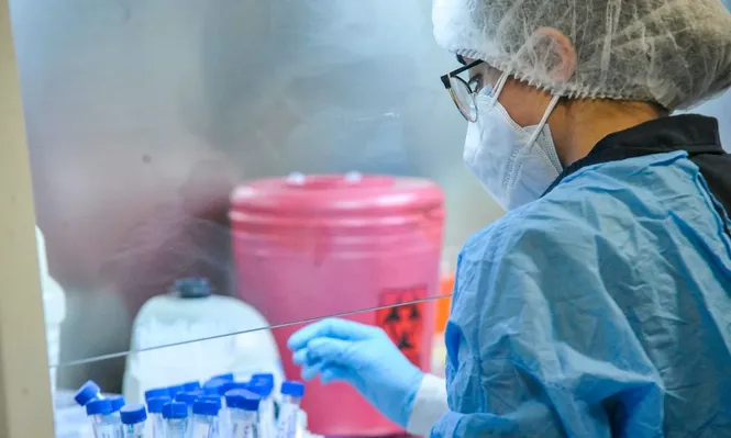 Udelar pide trabajar junto a laboratorios y gobierno para estudiar cepas de covid-19