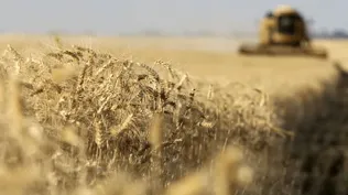 Producción agropecuaria creció más que los impuestos al sector