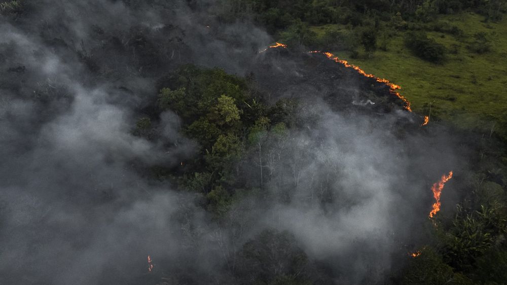 La Amazonia enfrenta los peores incendios