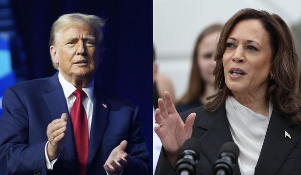 Kamala Harris vs Donald Trump: una por una, qué muestran las encuestas después del áspero debate presidencial