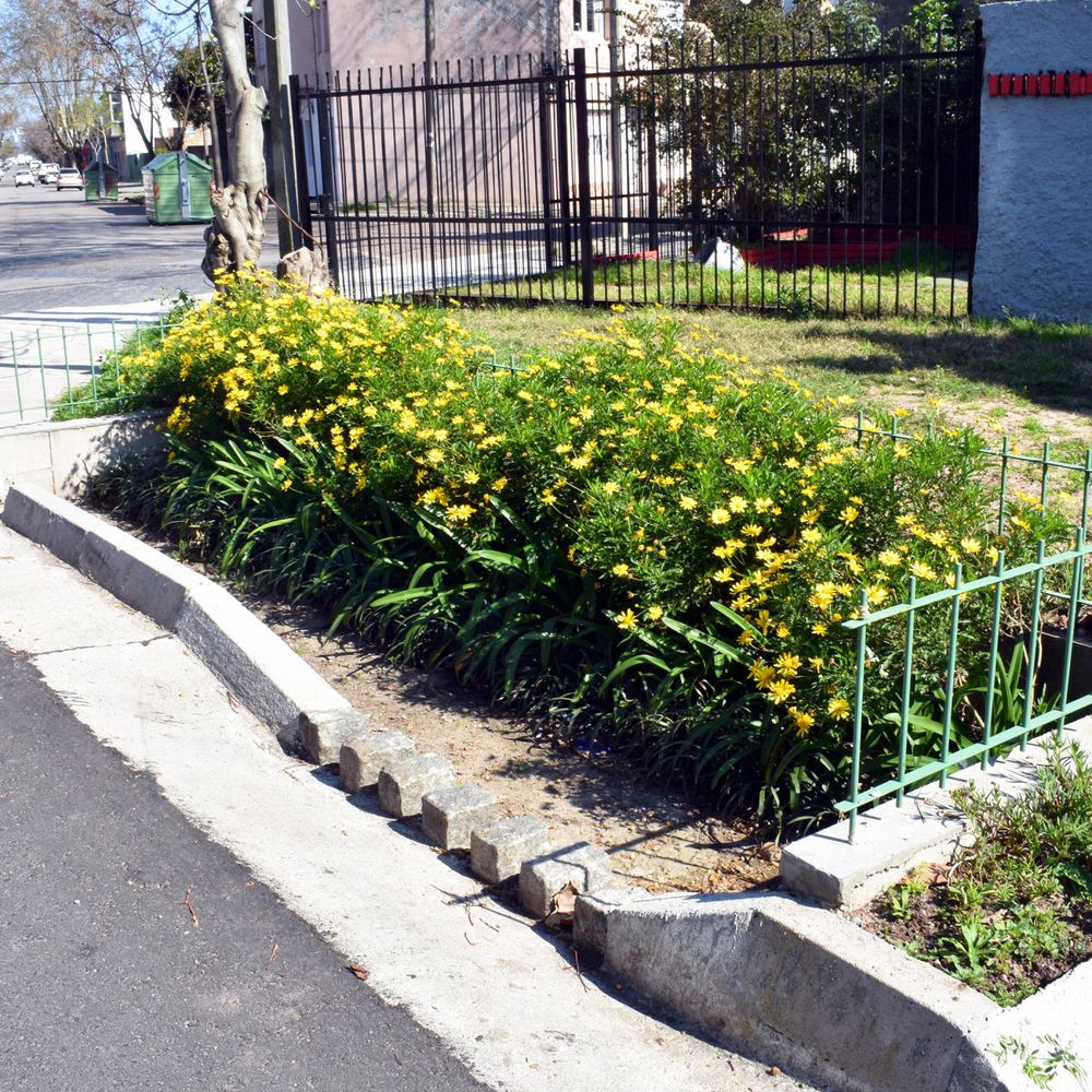 Jardín de lluvia5_IM