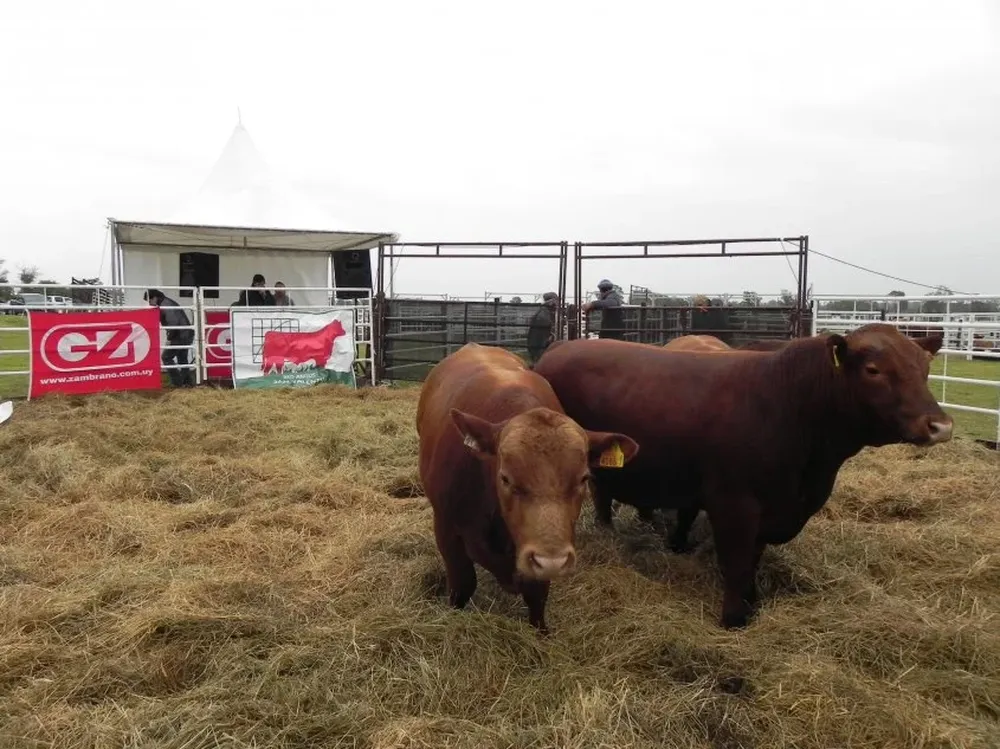 La fuerte demanda es una clara respuesta a la calidad de la oferta de San Valentín.