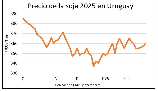 Mercado de granos, Blasina y Asociados.