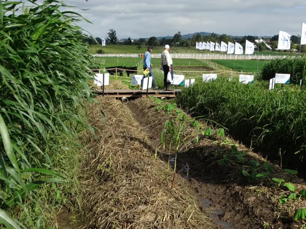 Un sector del área de exhibición del INIA.