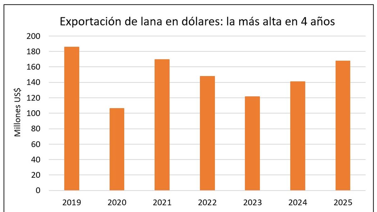 Rubro ovino con los astros alineados para la lana y la carne