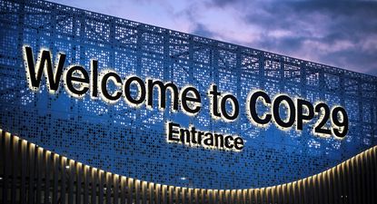 COP29