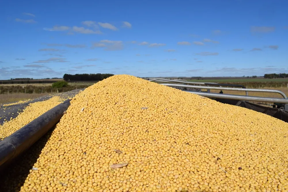 Según Ceres, lo positivo está en la afirmación de señales positivas para el sector agropecuario.