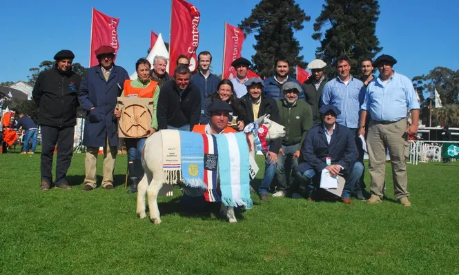 La raza Texel se lució en el Ruedo del Prado