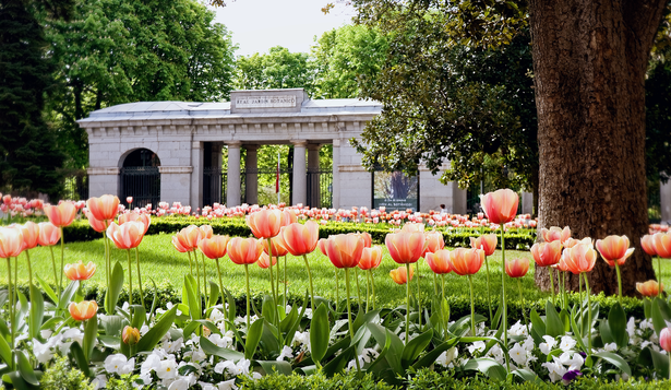 El Real Jardín Botánico de Madrid florece con miles de tulipanes en su espectáculo más esperado de primavera