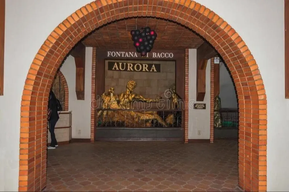 Bodega Aurora