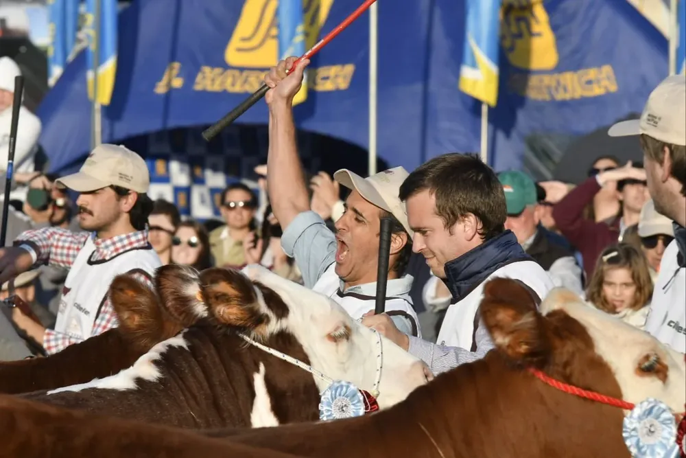 Festejo loco y no fue para menos: el premio a mucho tiempo de esfuerzo e inversión.