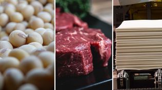 Soja, carne bovina y celulosa.