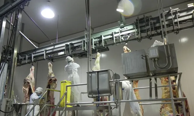 Una demanda muy fuerte principalmente de China hace que se registren muy buenos precios para la carne.