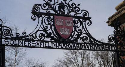 Trump quiere dar de baja los contratos federales con Harvard: las cuatro vías que tiene para atacar a la universidad