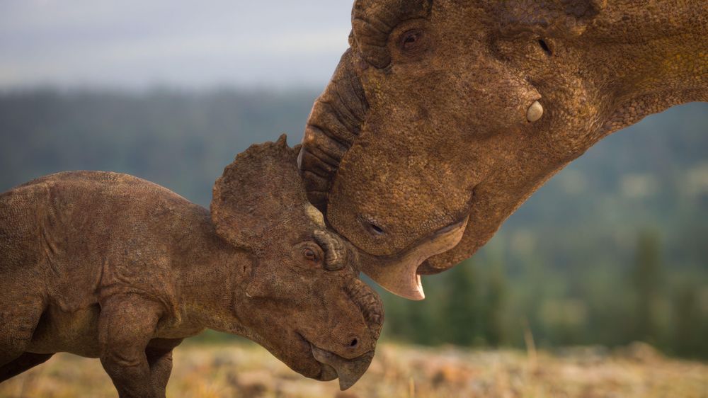 La manada de bestias fue probablemente aniquilada en un desastre natural.