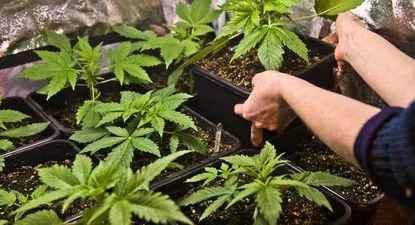 El Observador | 000_1HP27U.webp