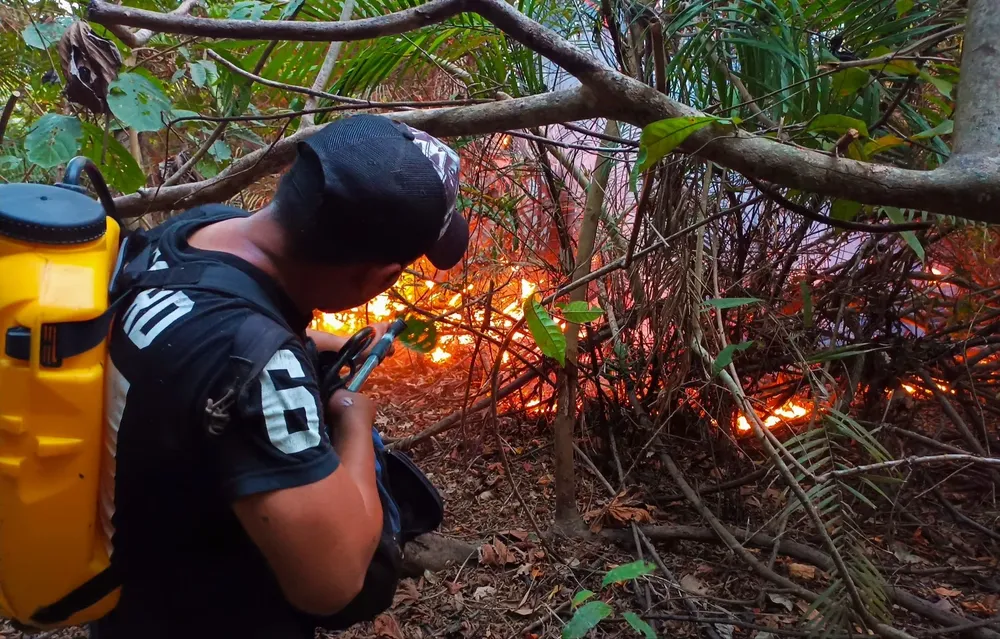 Voluntarios intentan controlar la quema de bosques para ampliar la frontera agrícola en la región de Beni