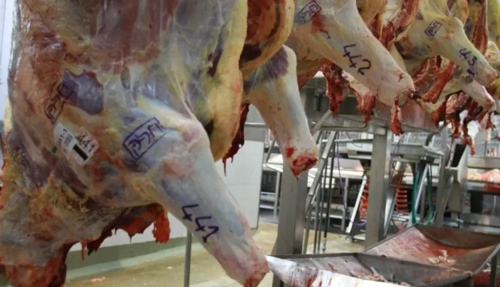 El gremio de Industria Animal restringirá a 12 horas la prestación de los servicios del MGAP en frigoríficos