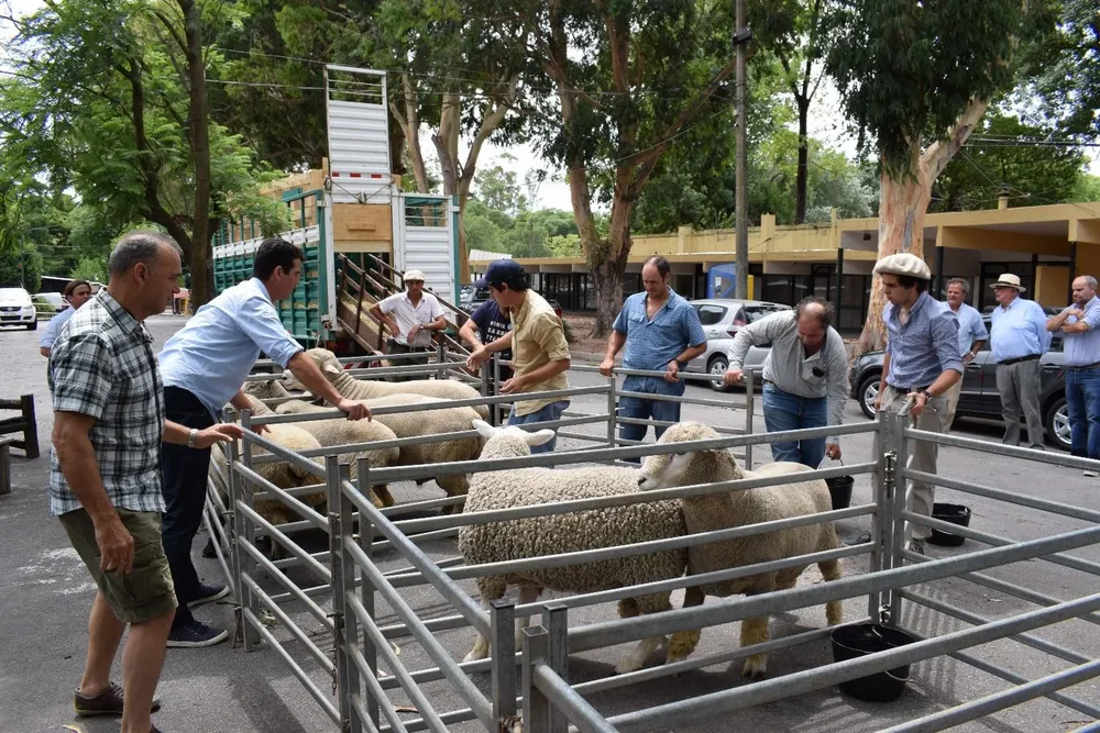 La presentación de los reproductores importados se realizó en la Rural del Prado.