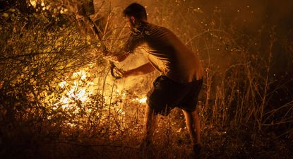 Incendios en España: miles de hectáreas arrasadas y la heroica tarea de los que luchan contra el fuego