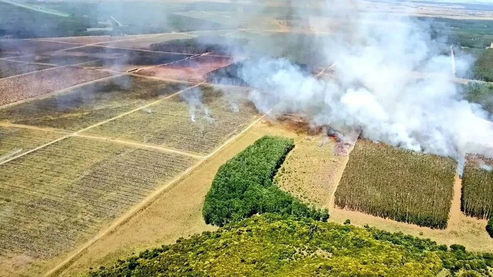 Incendio forestal en Algorta (Río Negro), el pasado 5 de enero. Fue uno de los más grandes que hubo en esta temporada