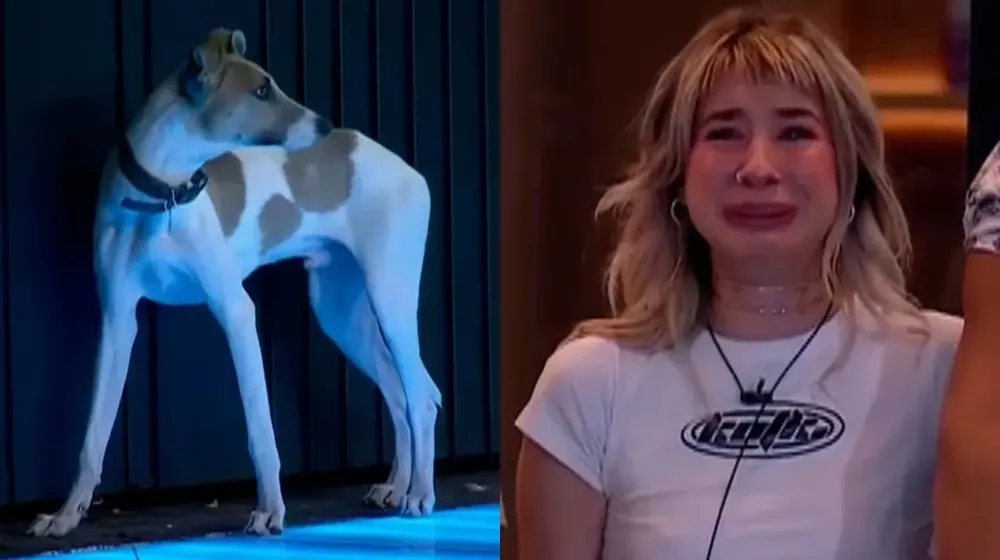 La reacción de Paloma al ingreso de Arturo