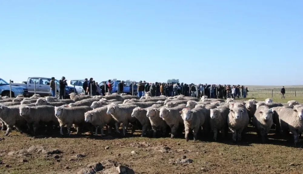 Majadas en potreros de basalto y en campos mejorados