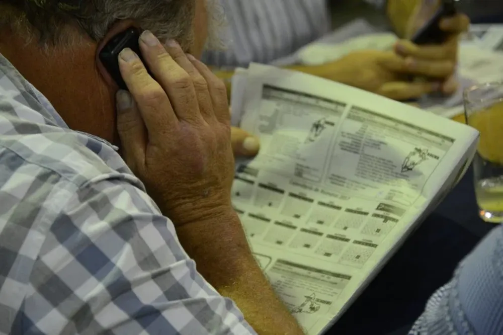 El remate se desarrolla en la Rural del Prado, con transmisión en vivo por televisión e internet