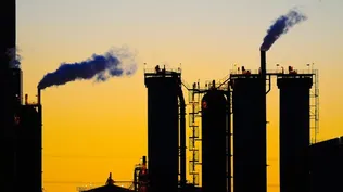 UPM anuncia intención de instalar una nueva planta de celulosa en Uruguay