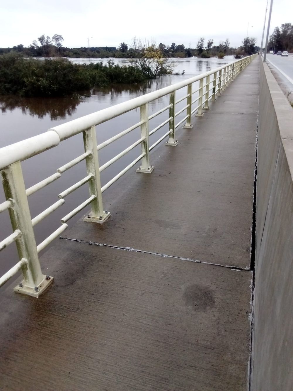 Así se ve el puente sobre el río Olimar, con el agua a punto de alcanzar su superficie por las inundaciones que sufre esa zona