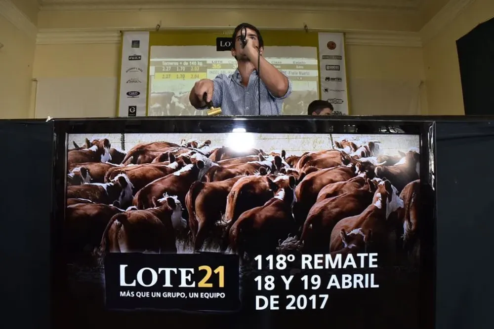 Lote 21 remata en el Hipódromo Nacional de Maroñas